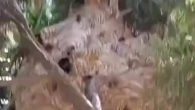 马蜂：你倒是开窗啊！送红包你都不要啊