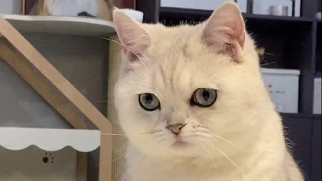 它伤到我的心巴了