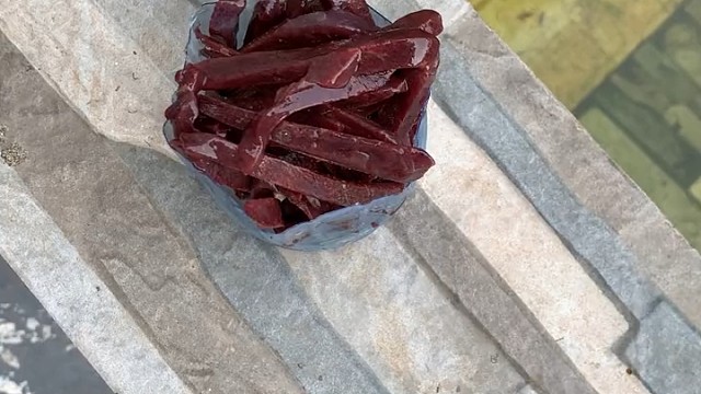 亲手养大的小宠物