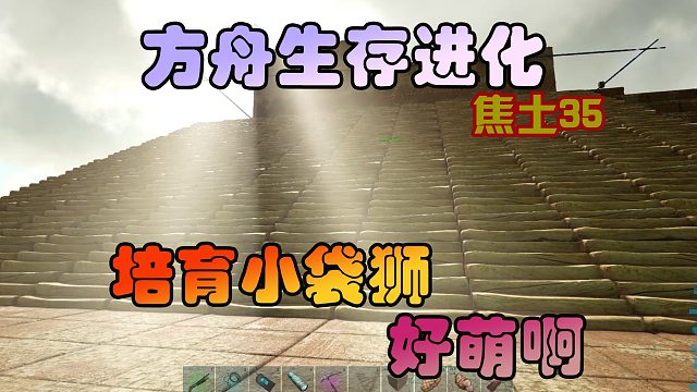 方舟生存进化 焦土35 培育二代袋狮，准备收集神器