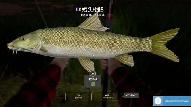 20237月10日星短头梭鲃手竿