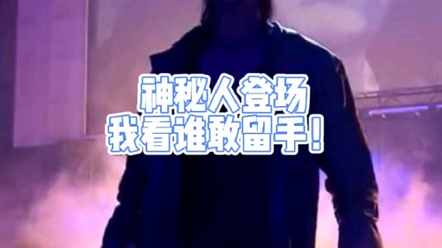 神秘人登场
我看谁敢留手！