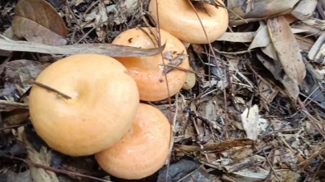 我发布了一个新视频，快来围观吧！