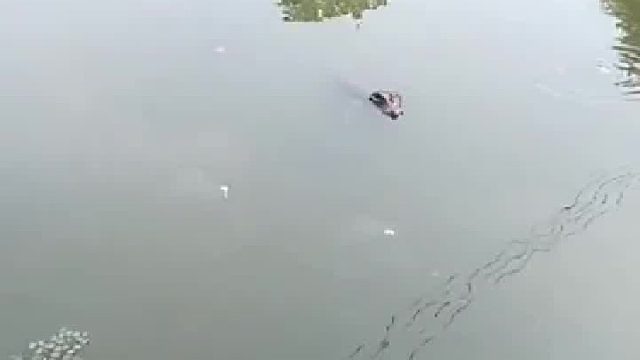 能给个东西吃吃嘛