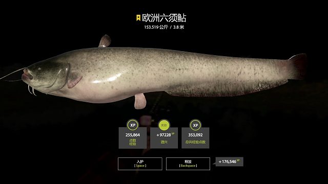 博雷开光4分红入户星猪