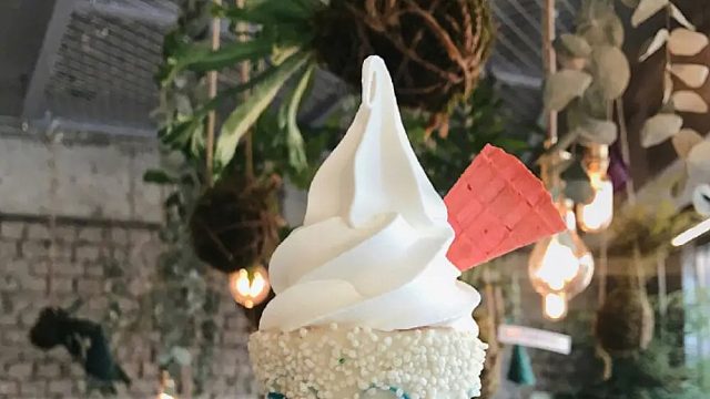 感谢奶冻挽烟老板的旋转木马哇哎嘿嘿吱呀吱呀转开心时刻