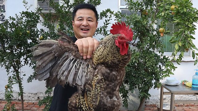 家里的大公鸡天天叫，抓住它做个“山东炒鸡”，肉质紧致，真好吃
