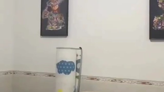 谢谢你这么久了第一次听到蟑螂叫了