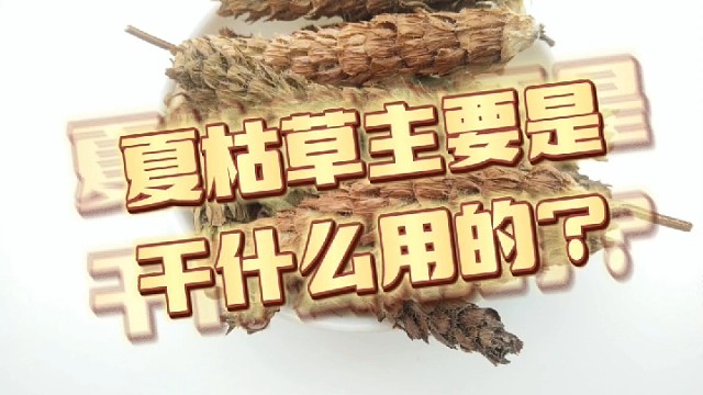 夏枯草