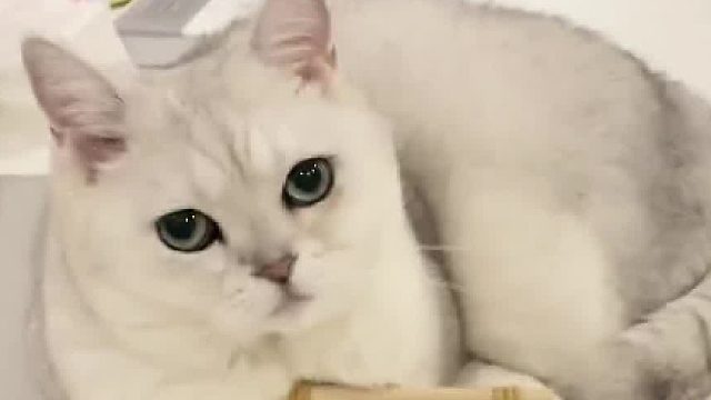 这脑回路说不清楚是聪明还是笨