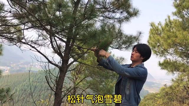 一个俗人，人间烟火平凡的生活松针气泡雪碧