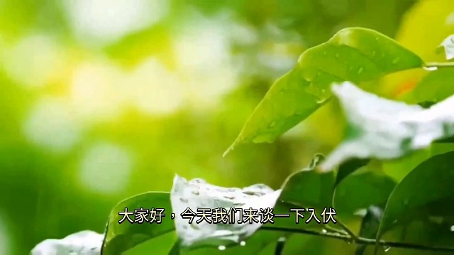 眼底的绿意，湖边的风，是你盛夏的底色