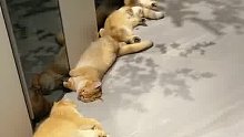 没一个欢迎你回家的