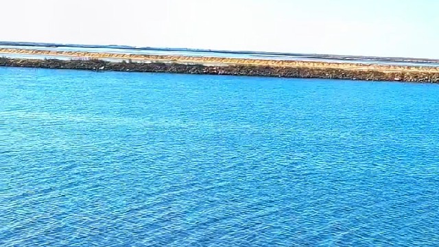 听听大海说了什么