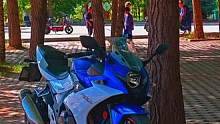 他就是讓我一直努力到現(xiàn)在的理由#鈴木gsx250r #機車