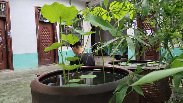 夏天是瓜果蔬菜的季节，也是茄子的季节，煎盘茄子，再炒盘茄子