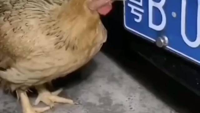 这是为什么？看了才明白！