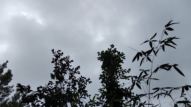 夏日小吃，炒盘韭菜炒鸡蛋，再煎盘韭菜鸡蛋饼