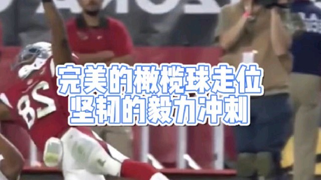 完美的橄榄球走位
坚韧的毅力冲刺