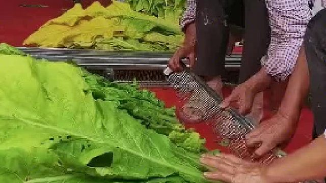 看看是手里点的这根儿吗