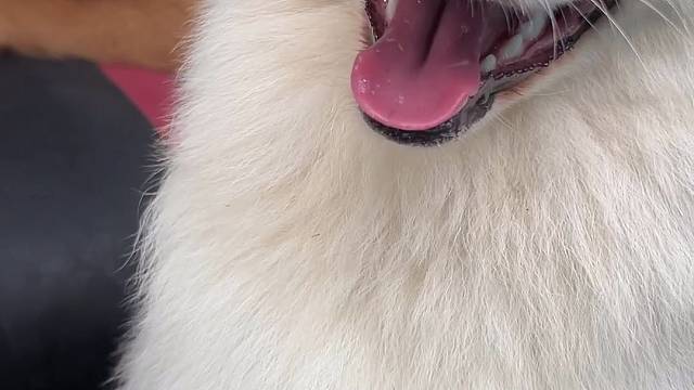 风景很美有你更美