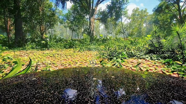 恭喜你成为尊贵的梅赛德斯车主