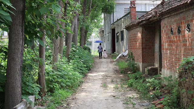 麦收过后，终得一丝闲暇