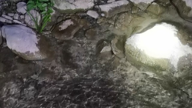 第一次抓鱼居然……