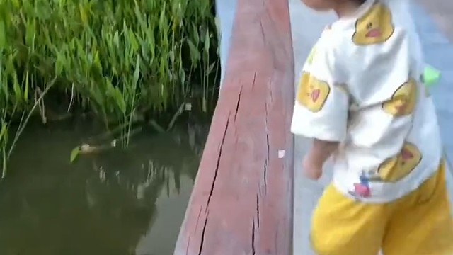 会钓鱼的和不会钓鱼的都沉默了