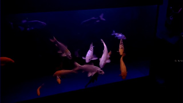 外面的世界那么大，一定要去看看