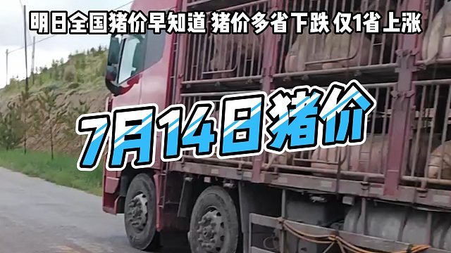 明日7月14日全国猪价早知道!猪价多省下跌仅一省上涨#明日猪价#猪价行情#生猪价格#养猪