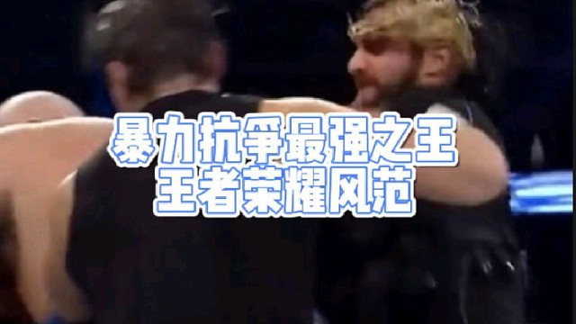 暴力抗争最强之王
王者荣耀风范