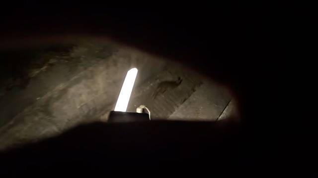 什么东西在追我，那还得了