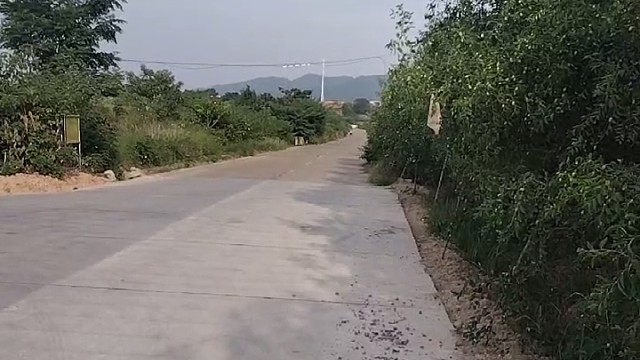 南枣有“贡枣”之称，主要产于浙江义乌，东阳等地，有着上千年的种植历史了。
清晨，碰到正在观察