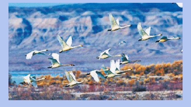 把握机遇，成就未来