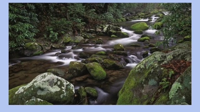 抓住时机，改变生存环境