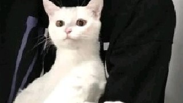 开箱的快乐