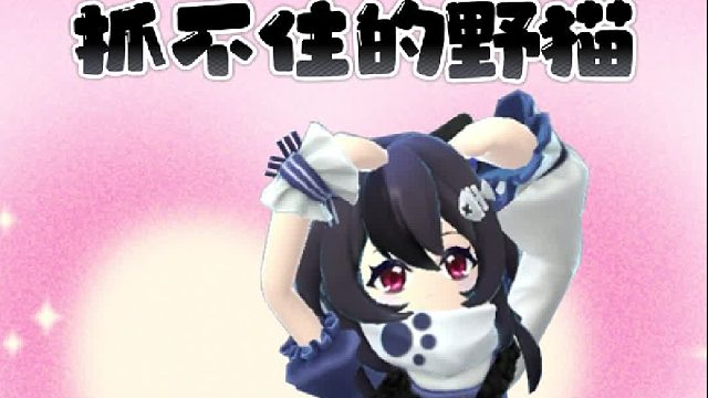 不会有人不喜欢猫吧o(=•ェ•=)m