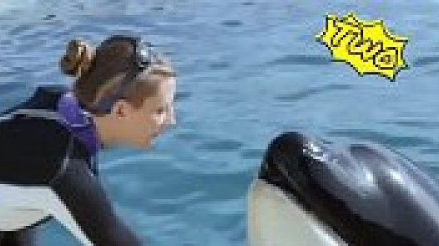 她居然能发出这么可爱的声音！虎鲸模仿人说话-进阶版