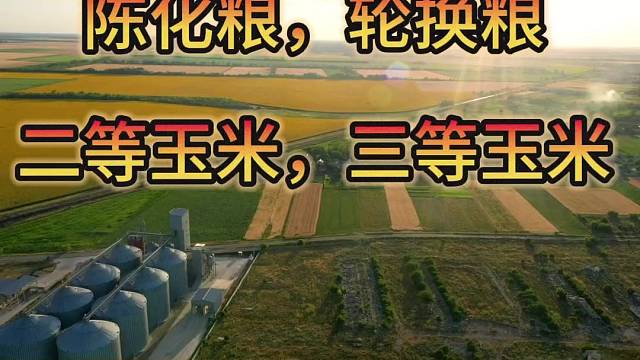 收购陈化粮，轮换粮。