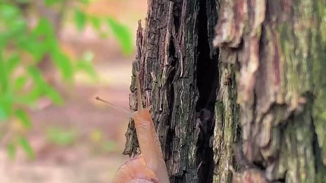 如果可以，请为生活停驻。留点时间，锻炼身体，沐浴阳光。多些耐心，关照一粟一羹汤。愿我们都勤靡余劳