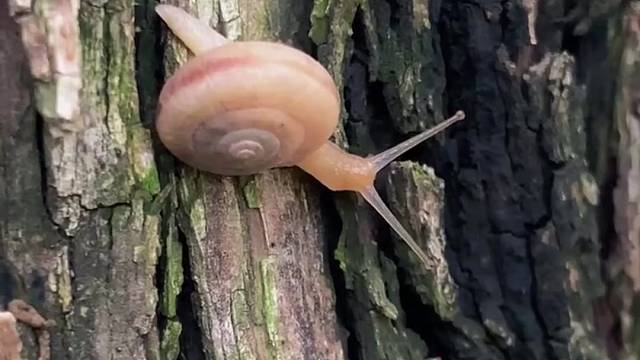 平凡小事促成美好日常#捕捉身边的美好