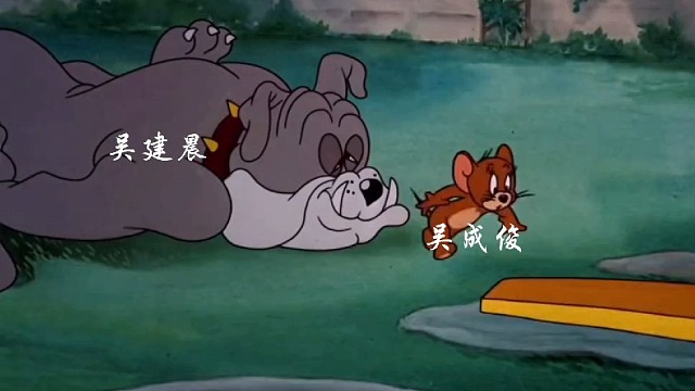 猫和老鼠搞笑视频