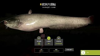 每周任務(wù)完成
