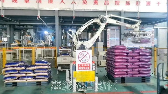 双工位码垛机器人#码垛机#码垛机厂家