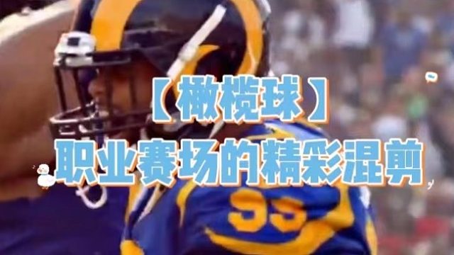【橄榄球】职业赛场上的精彩混剪