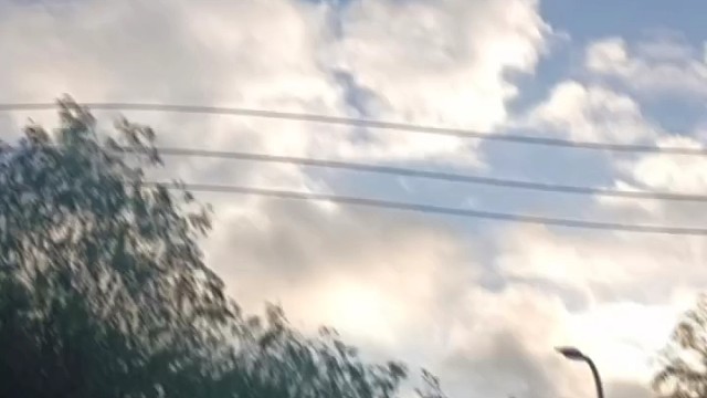 看鱼的同时，脑海里都是烤鱼