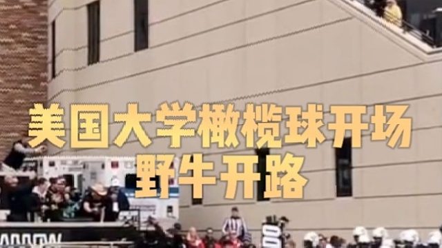 美国大学橄榄球开场野牛开路