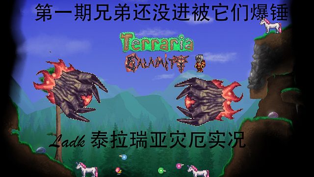 第一期兄弟还没进来被它们爆锤