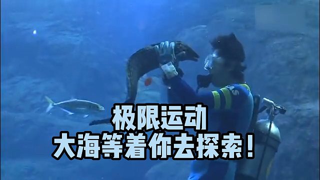 極限運動大海等著你去探索！